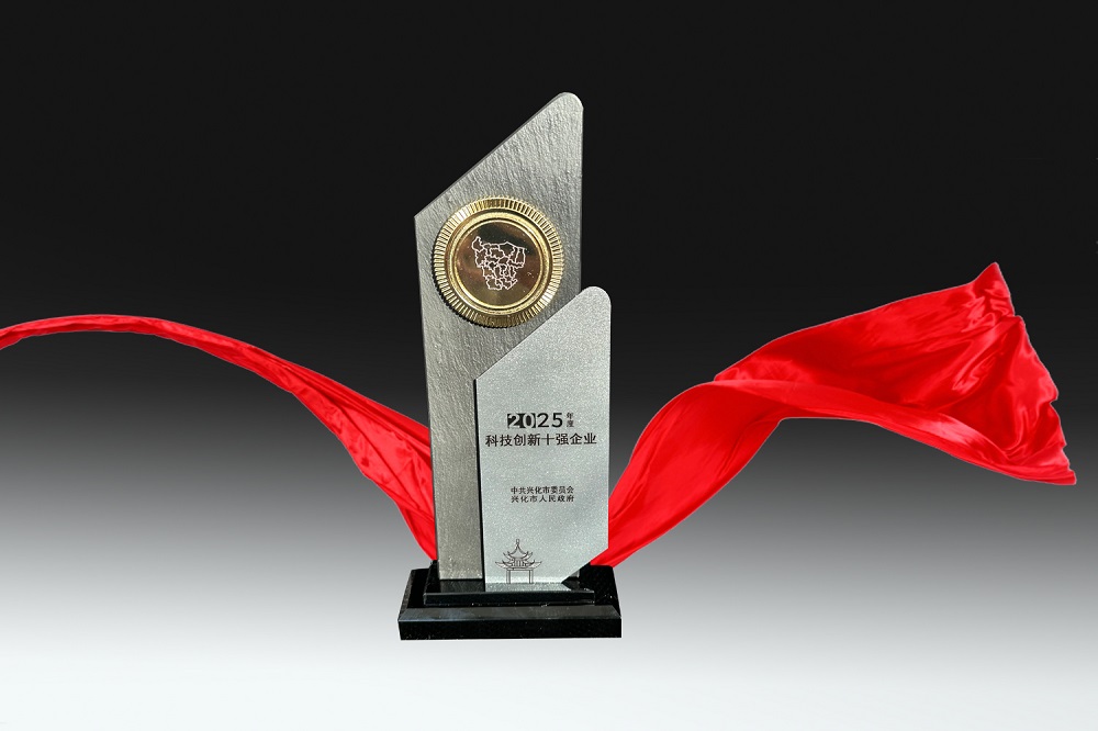 2025年度興化市科技創新十強企業