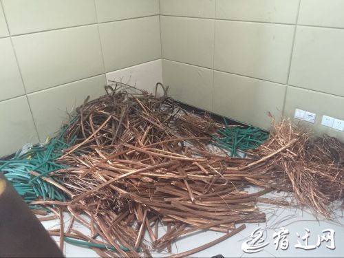 一家具廠保安關了監控偷盜 老板再裝高科技探頭揪住  監控新聞  第2張